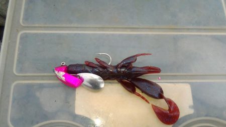 夜明け前は紀の川河口、その後煙樹ヶ浜へ！